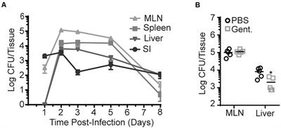 Mucosal CD8 T Cell Responses Are Shaped by Batf3-DC After Foodborne Listeria monocytogenes Infection